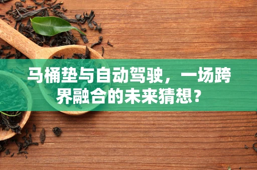 马桶垫与自动驾驶，一场跨界融合的未来猜想？