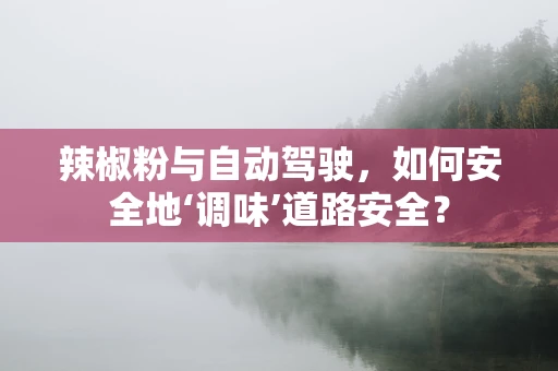 辣椒粉与自动驾驶，如何安全地‘调味’道路安全？