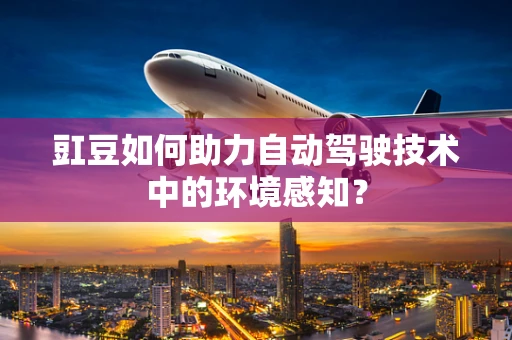 豇豆如何助力自动驾驶技术中的环境感知？