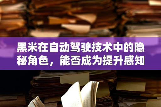 黑米在自动驾驶技术中的隐秘角色，能否成为提升感知精度的关键？