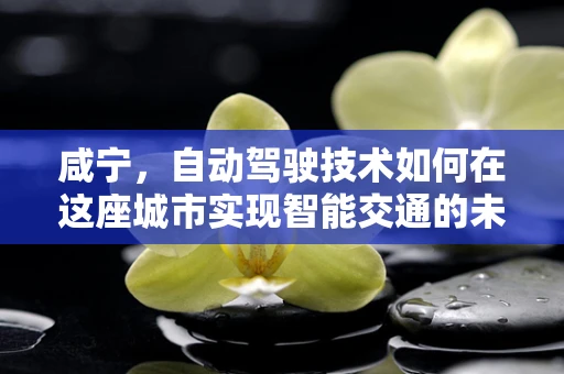 咸宁，自动驾驶技术如何在这座城市实现智能交通的未来？