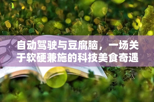 自动驾驶与豆腐脑，一场关于软硬兼施的科技美食奇遇