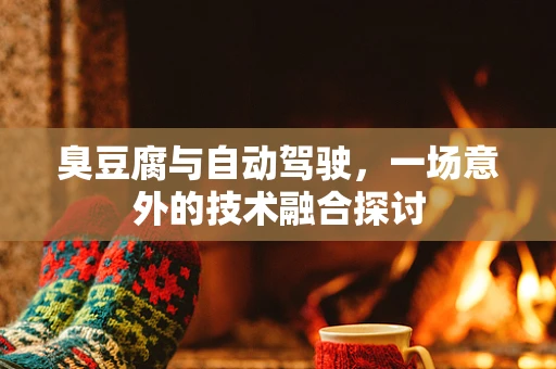臭豆腐与自动驾驶，一场意外的技术融合探讨