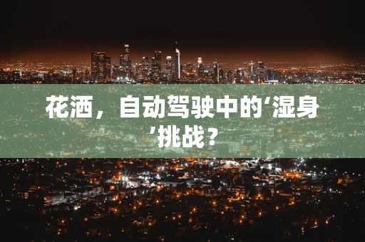 花洒，自动驾驶中的‘湿身’挑战？