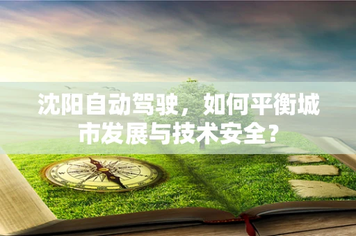 沈阳自动驾驶，如何平衡城市发展与技术安全？