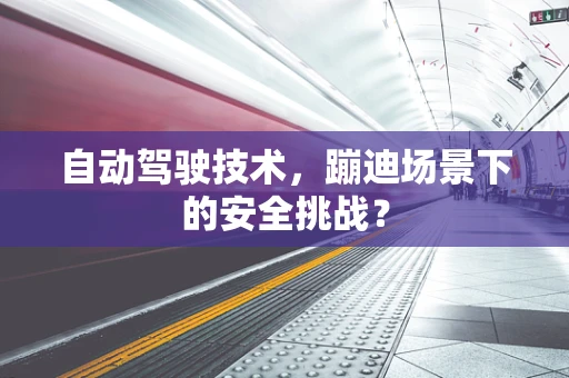 自动驾驶技术，蹦迪场景下的安全挑战？