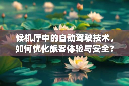 候机厅中的自动驾驶技术，如何优化旅客体验与安全？