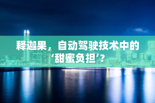 释迦果，自动驾驶技术中的‘甜蜜负担’？