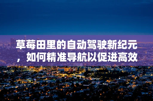 草莓田里的自动驾驶新纪元，如何精准导航以促进高效种植？