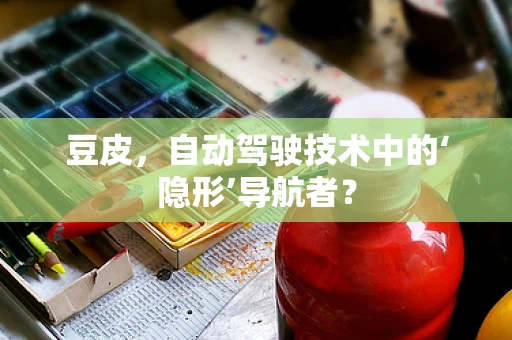 豆皮，自动驾驶技术中的‘隐形’导航者？
