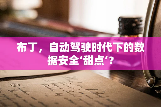 布丁，自动驾驶时代下的数据安全‘甜点’？