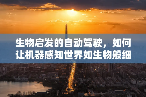 生物启发的自动驾驶，如何让机器感知世界如生物般细腻？