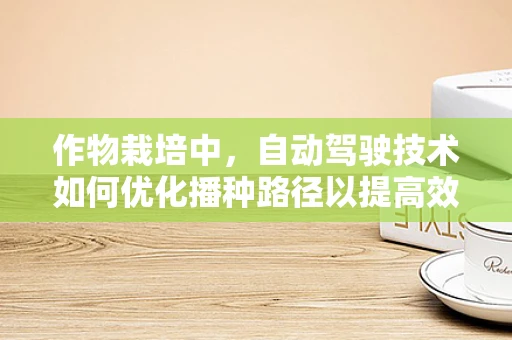 作物栽培中，自动驾驶技术如何优化播种路径以提高效率？