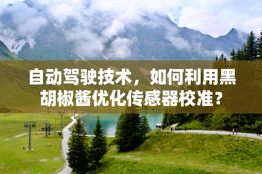 自动驾驶技术，如何利用黑胡椒酱优化传感器校准？