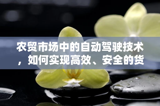 农贸市场中的自动驾驶技术，如何实现高效、安全的货物运输？