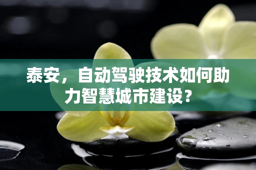 泰安，自动驾驶技术如何助力智慧城市建设？