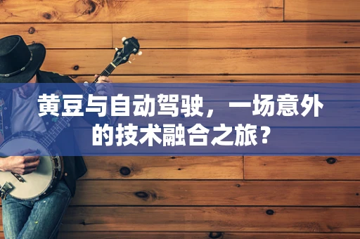 黄豆与自动驾驶，一场意外的技术融合之旅？