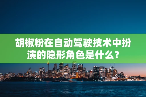 胡椒粉在自动驾驶技术中扮演的隐形角色是什么？