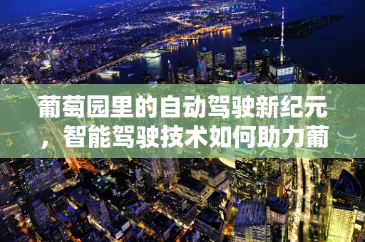 葡萄园里的自动驾驶新纪元，智能驾驶技术如何助力葡萄高效种植？