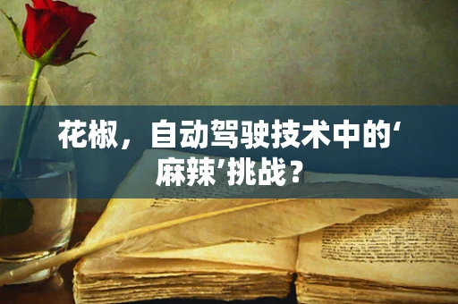 花椒，自动驾驶技术中的‘麻辣’挑战？