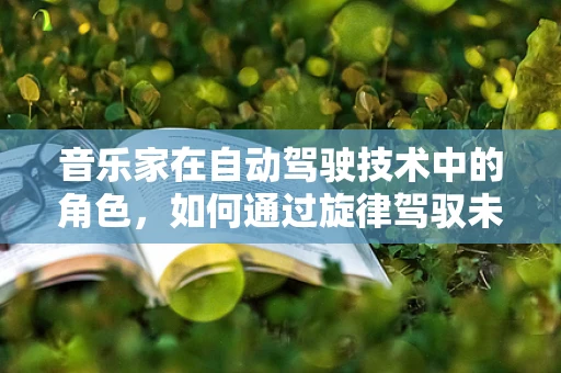 音乐家在自动驾驶技术中的角色，如何通过旋律驾驭未来出行？