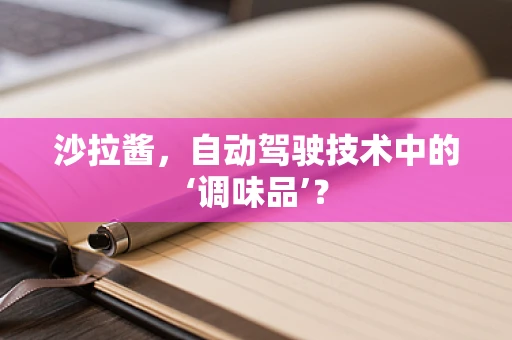 沙拉酱，自动驾驶技术中的‘调味品’？