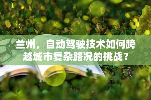 兰州，自动驾驶技术如何跨越城市复杂路况的挑战？