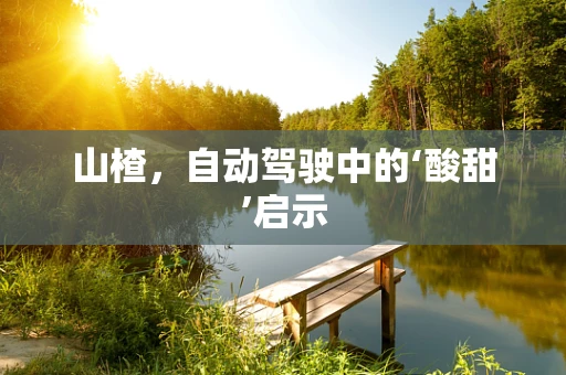 山楂，自动驾驶中的‘酸甜’启示