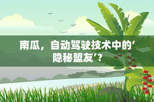 南瓜，自动驾驶技术中的‘隐秘盟友’？