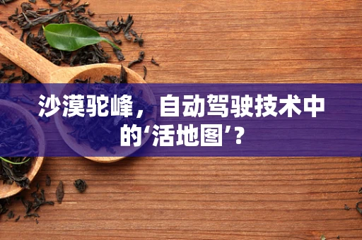 沙漠驼峰，自动驾驶技术中的‘活地图’？