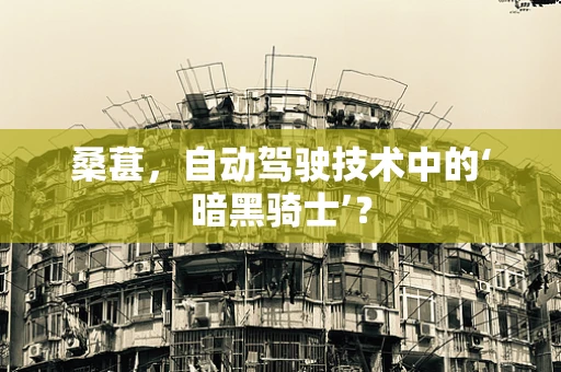 桑葚，自动驾驶技术中的‘暗黑骑士’？