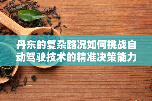 丹东的复杂路况如何挑战自动驾驶技术的精准决策能力？