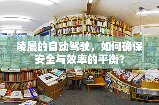 凌晨的自动驾驶，如何确保安全与效率的平衡？
