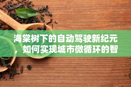 海棠树下的自动驾驶新纪元，如何实现城市微循环的智能导航？