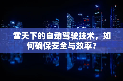雪天下的自动驾驶技术，如何确保安全与效率？