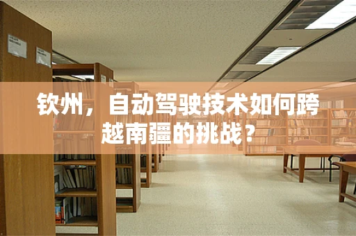 钦州，自动驾驶技术如何跨越南疆的挑战？