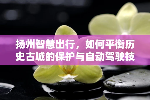 扬州智慧出行，如何平衡历史古城的保护与自动驾驶技术的融合？