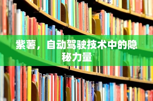 紫薯，自动驾驶技术中的隐秘力量