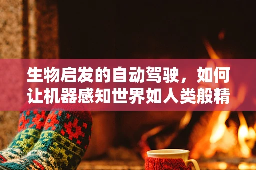 生物启发的自动驾驶，如何让机器感知世界如人类般精准？