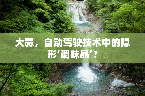 大蒜，自动驾驶技术中的隐形‘调味品’？