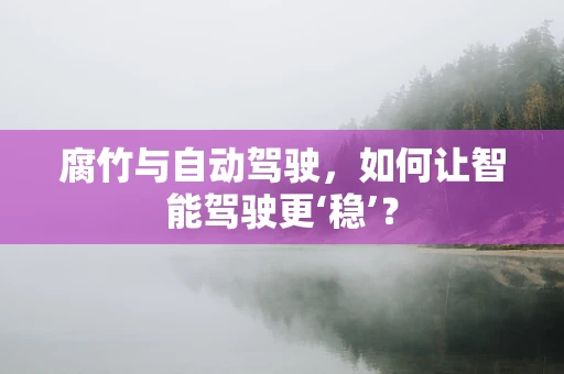 腐竹与自动驾驶，如何让智能驾驶更‘稳’？