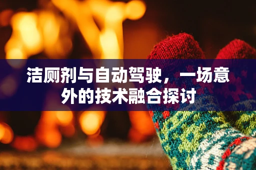 洁厕剂与自动驾驶，一场意外的技术融合探讨
