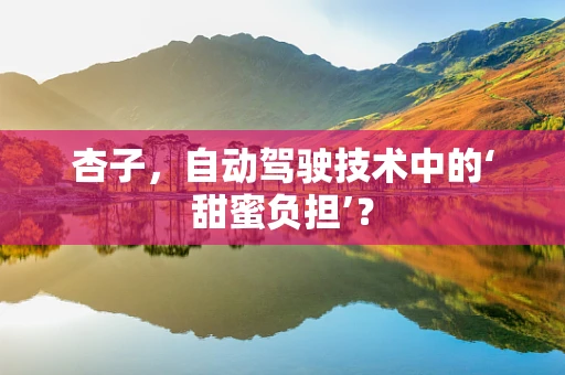 杏子，自动驾驶技术中的‘甜蜜负担’？