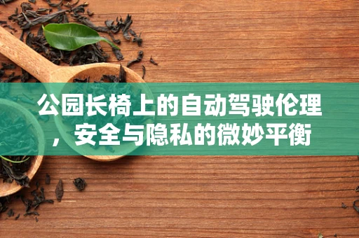 公园长椅上的自动驾驶伦理，安全与隐私的微妙平衡