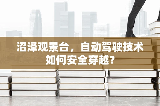 沼泽观景台，自动驾驶技术如何安全穿越？