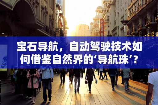 宝石导航，自动驾驶技术如何借鉴自然界的‘导航珠’？