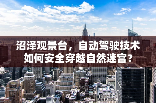 沼泽观景台，自动驾驶技术如何安全穿越自然迷宫？