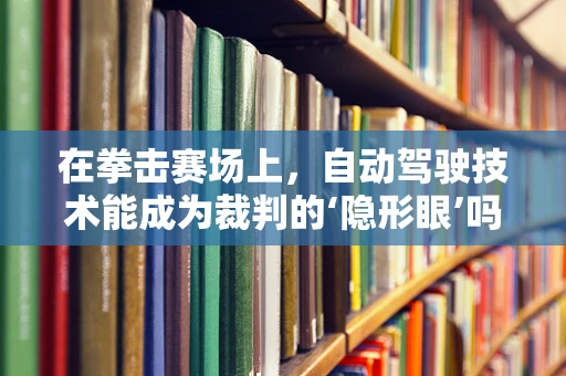 在拳击赛场上，自动驾驶技术能成为裁判的‘隐形眼’吗？
