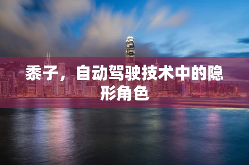 黍子，自动驾驶技术中的隐形角色