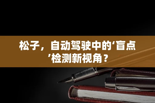 松子，自动驾驶中的‘盲点’检测新视角？